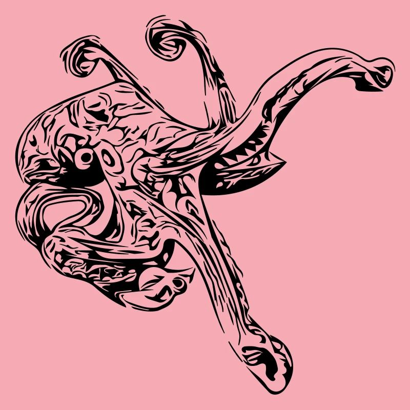 Octopus Octopus octopus squid