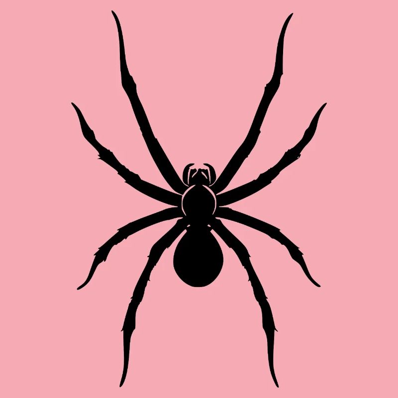 Spinne