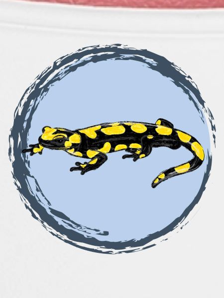 Feuersalamander / Fire Salamander II