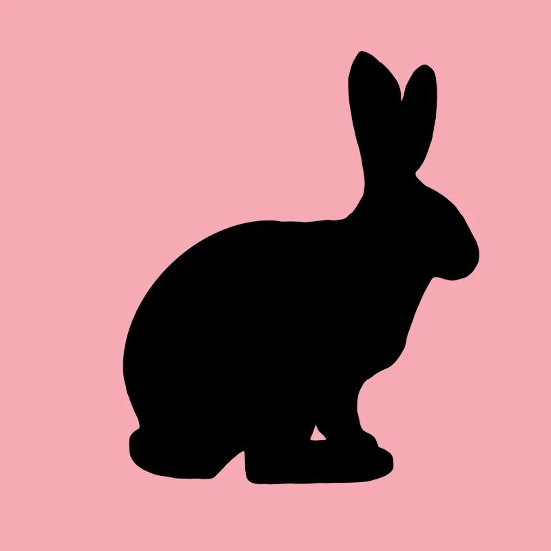 Bunny easter bunny rabbit gift pet
