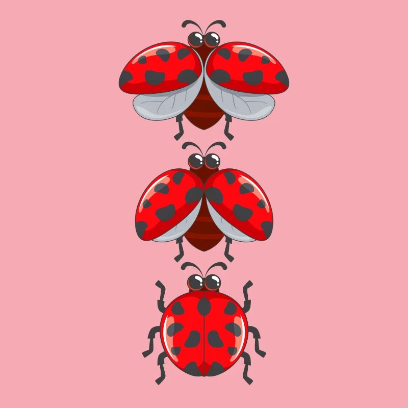 Cute ladybug insects with wings