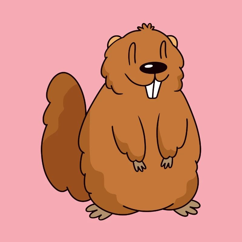 Une douce marmotte comme idée cadeau