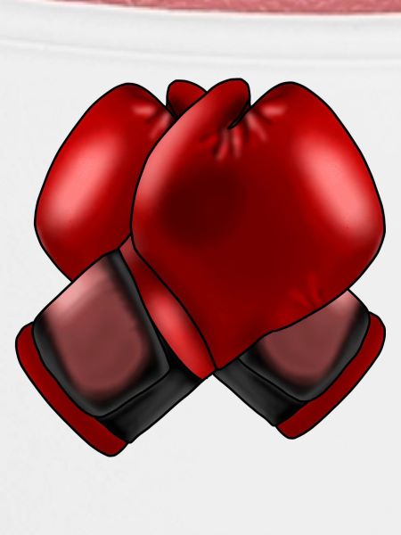 Boxhandschuhe 4