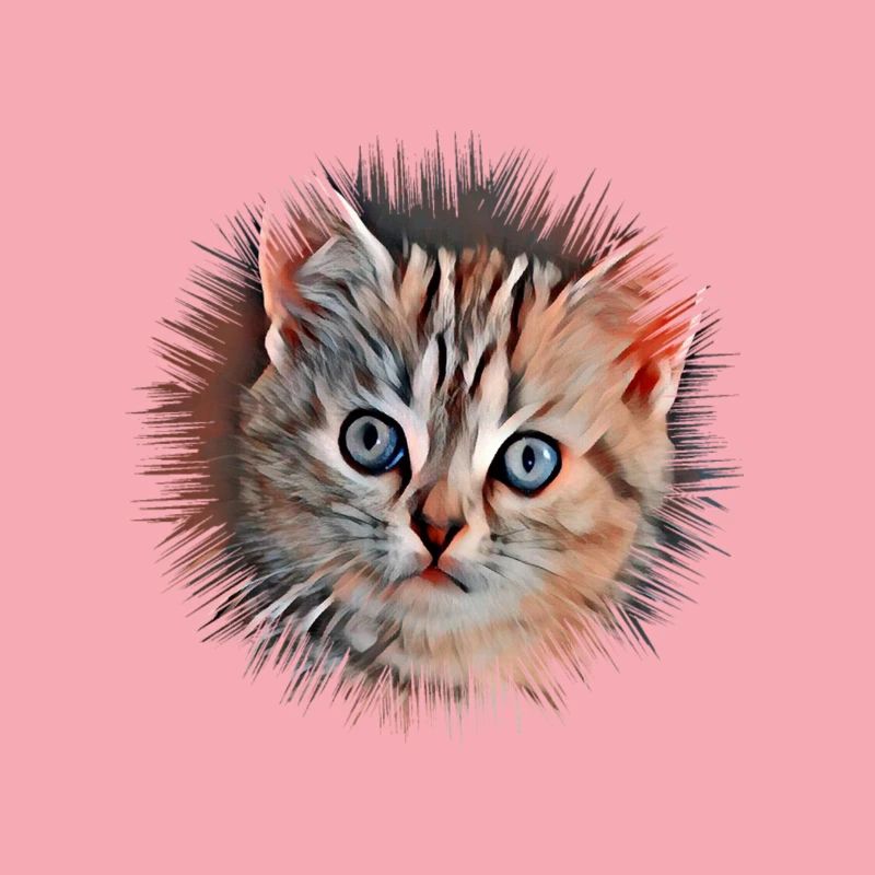 Chat