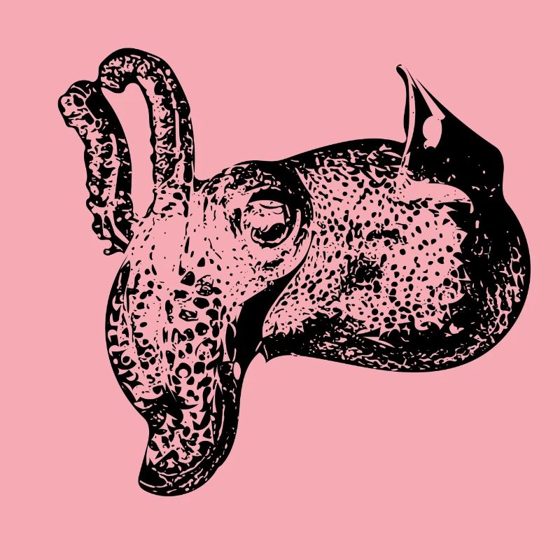 Vintage Cuttlefish