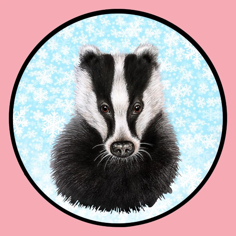 Badger/Dachs im Schnee