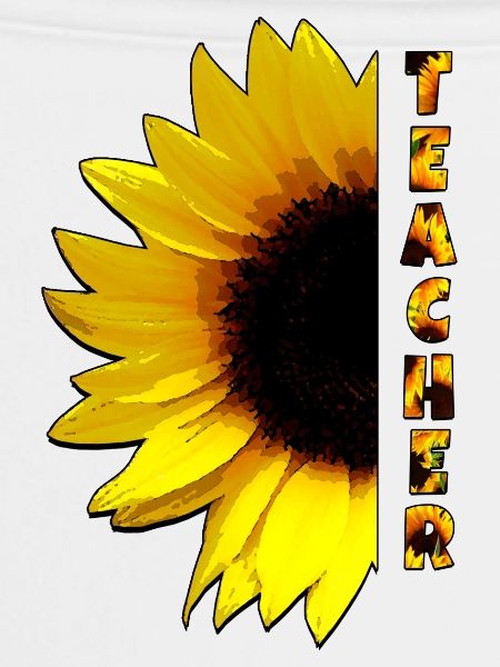 Lehrer Sonnenblume