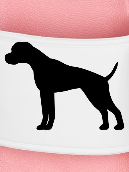 Boxer
