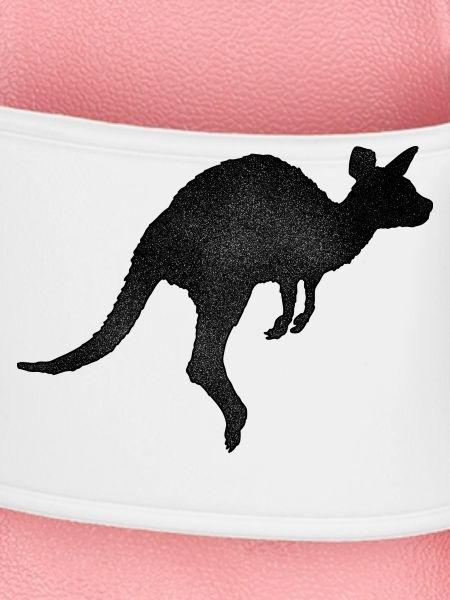 Kangaroo