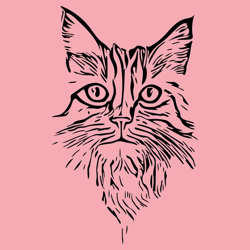 Cat - vector