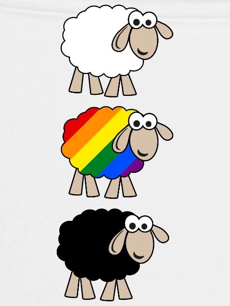 Regenbogen Schaf