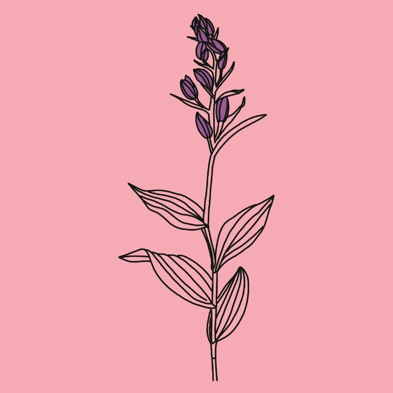 Blume Waldvögelein