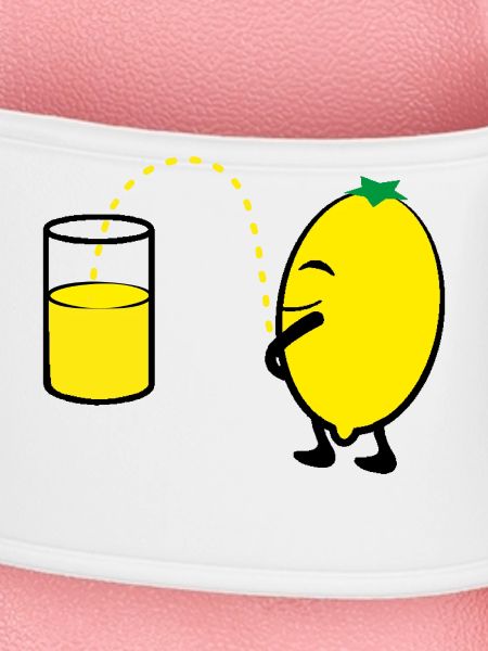 2541614 127819439 lemon