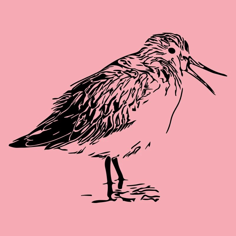 Flussuferläufer Vogel