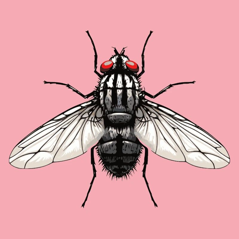 Fliege