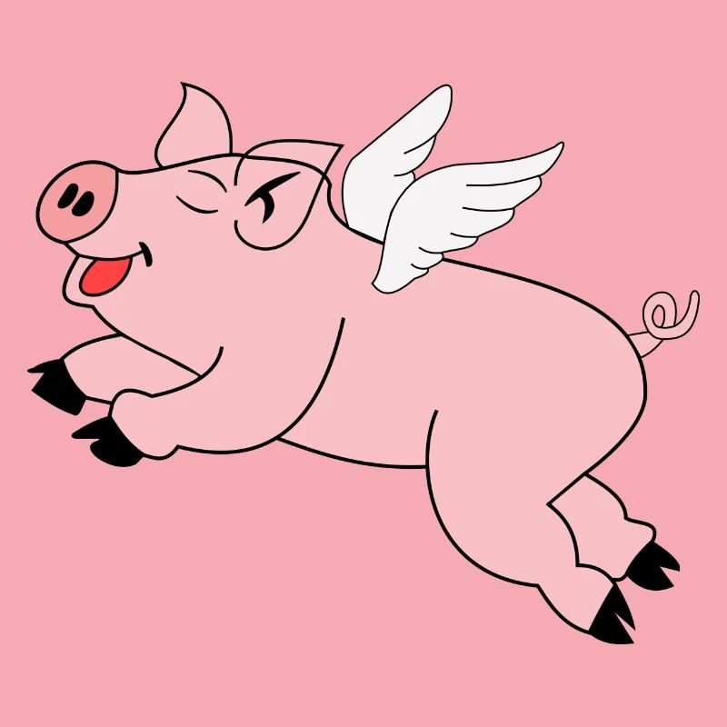 Pig Flying Gift