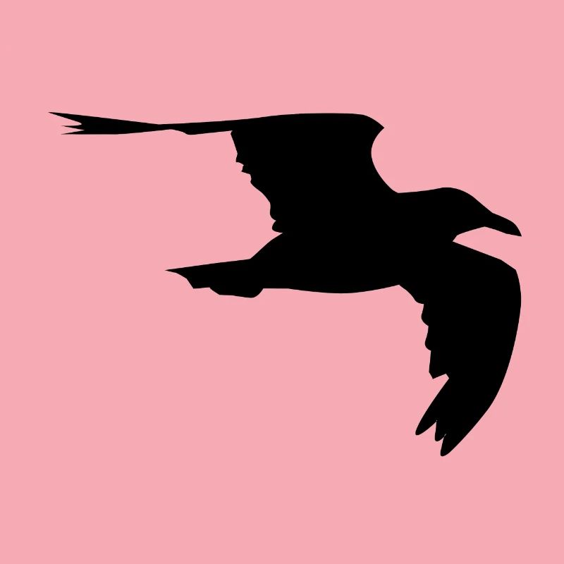 Gull Gull