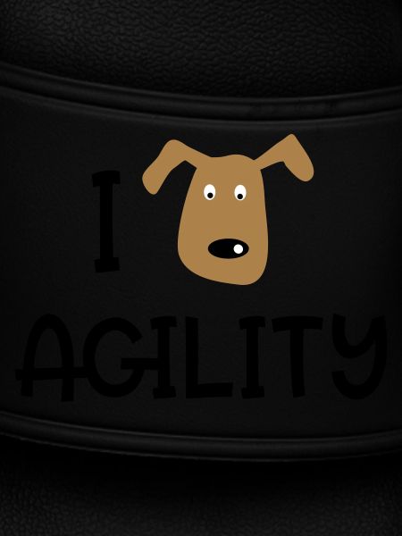 AGILITY