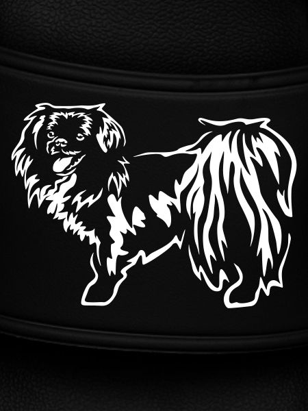 Tibet Spaniel "Black Edition"