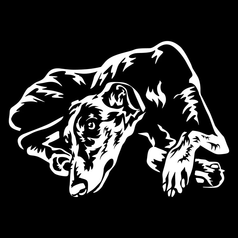 Galgo « Édition Noire »