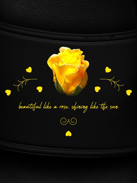 beautiful rose