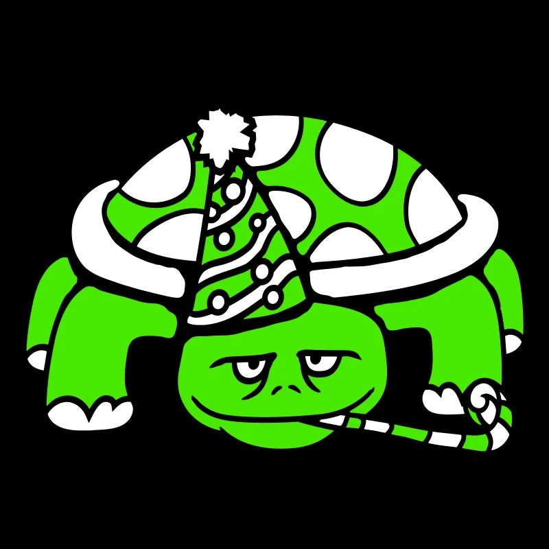 Turtle Birthday Party Hat Years Old