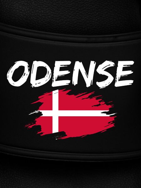 Odense Dänemark
