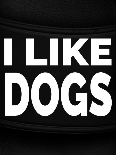 canine