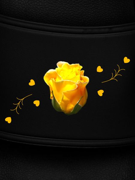 rose yellow rose