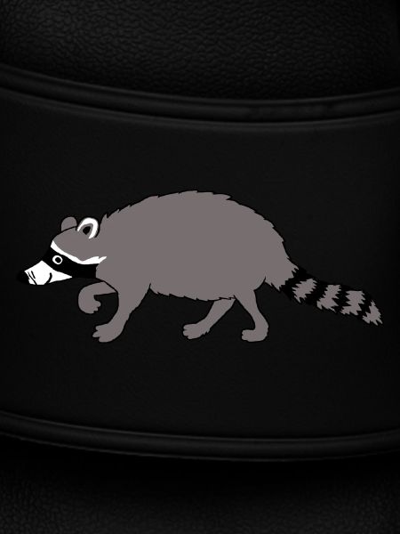 Raccoon