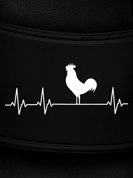 Chickens Fans - - Rooster - Chicks