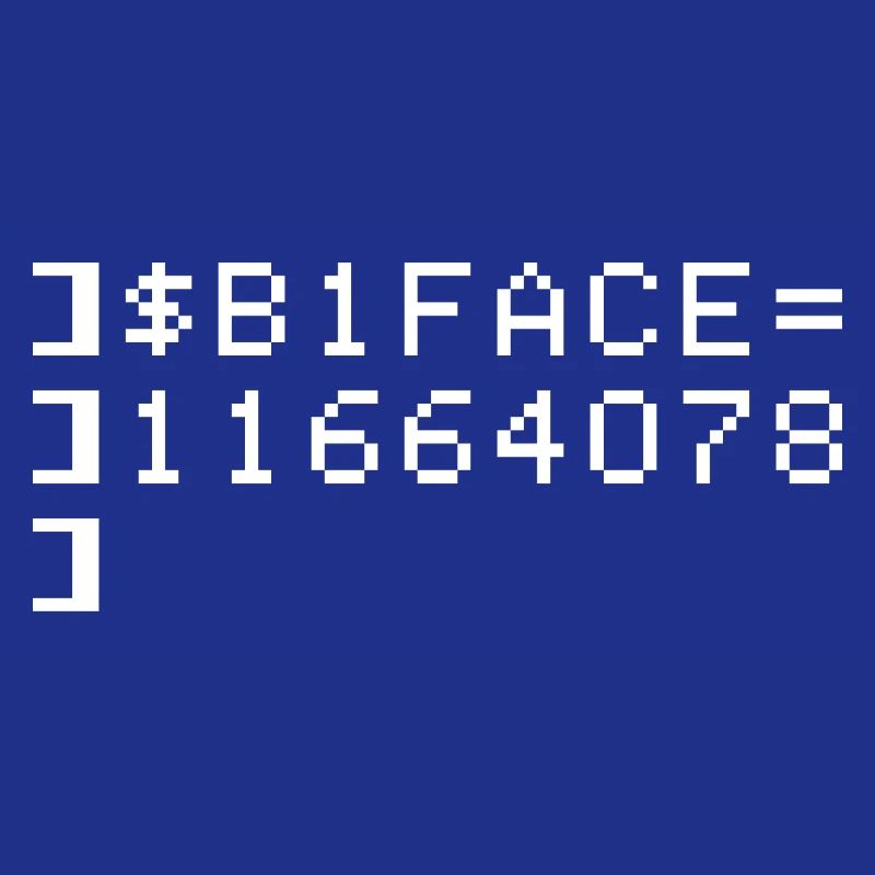 B1FACE Biface Code hexadécimal 8 bit Geek