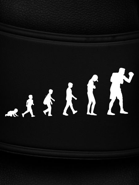 Évolution du bébé au boxer