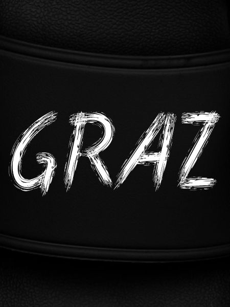 Graz Pinselstraßenkunst
