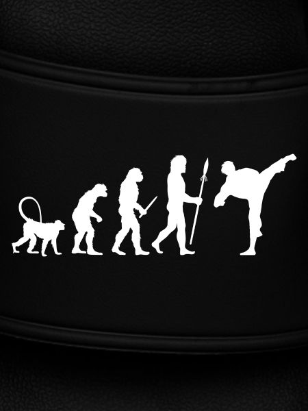 Karate Evolution