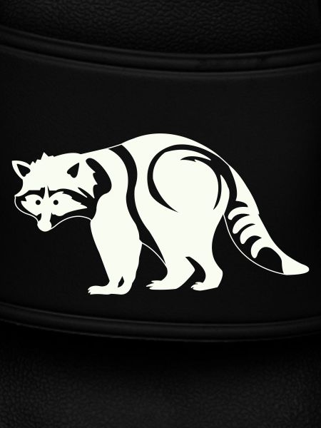 Waschbär