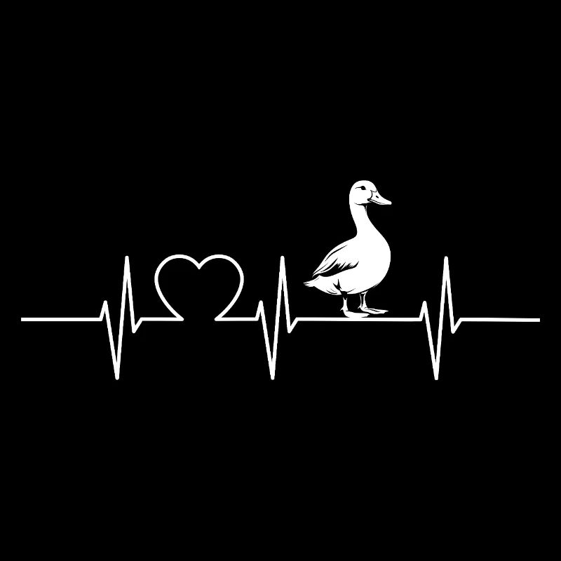 Canards Canard