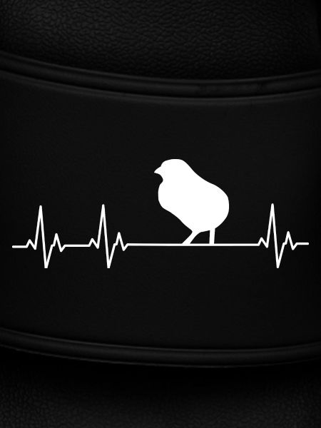 Chickens Fans - - Rooster - Chicks