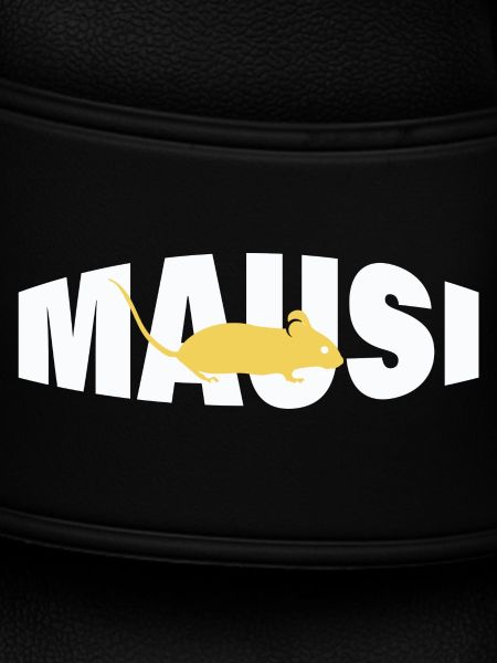 MAUSI