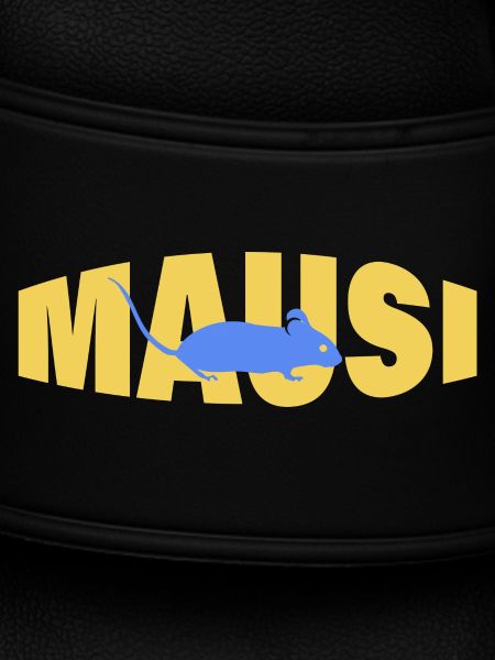 MAUSI