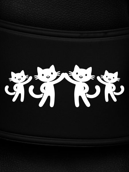 Cat Team