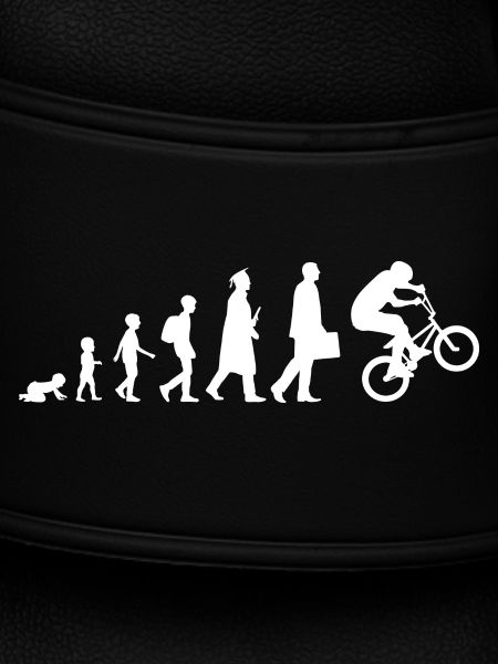 Evolution of BMX