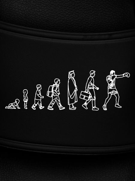 Evolution of the Boxer