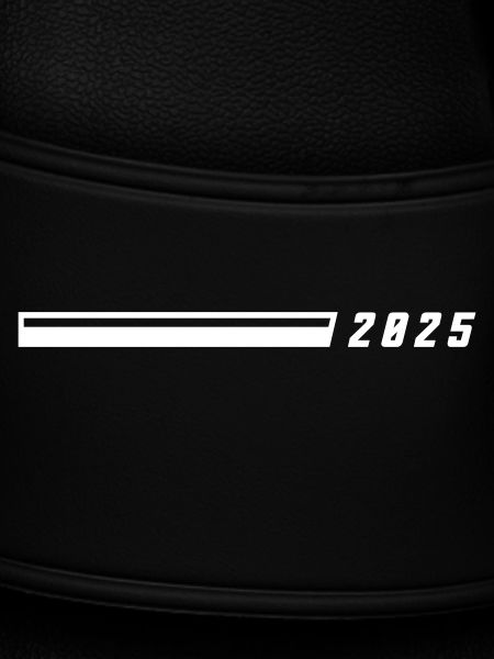 2025 year