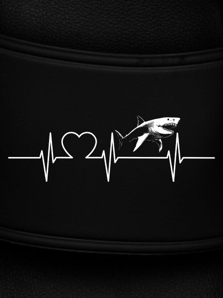 Sharks Shark