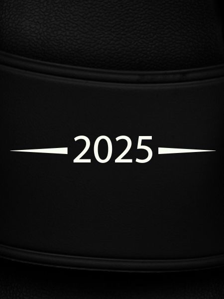 2025