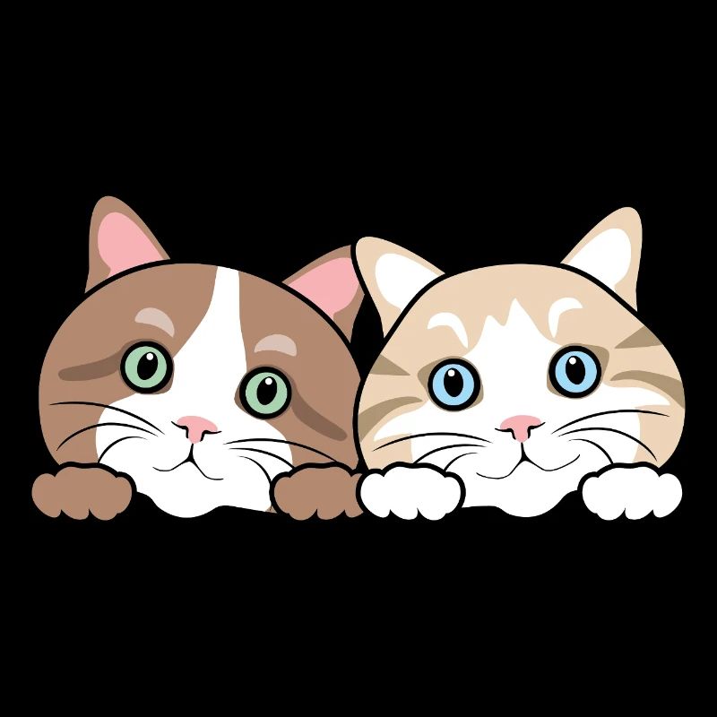 Deux chats drôles de regards