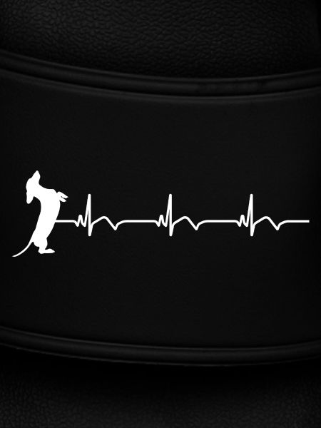 Dackel EKG Herzschlag