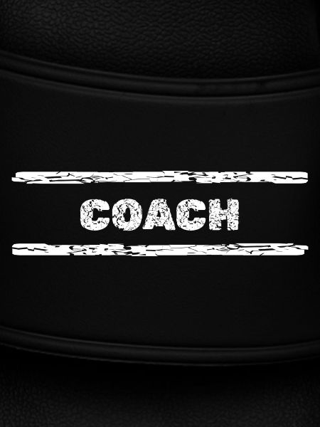 Beruf Coach