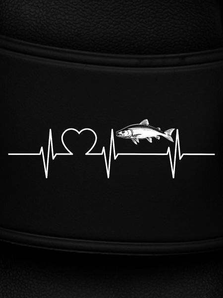 Salmon Salmon